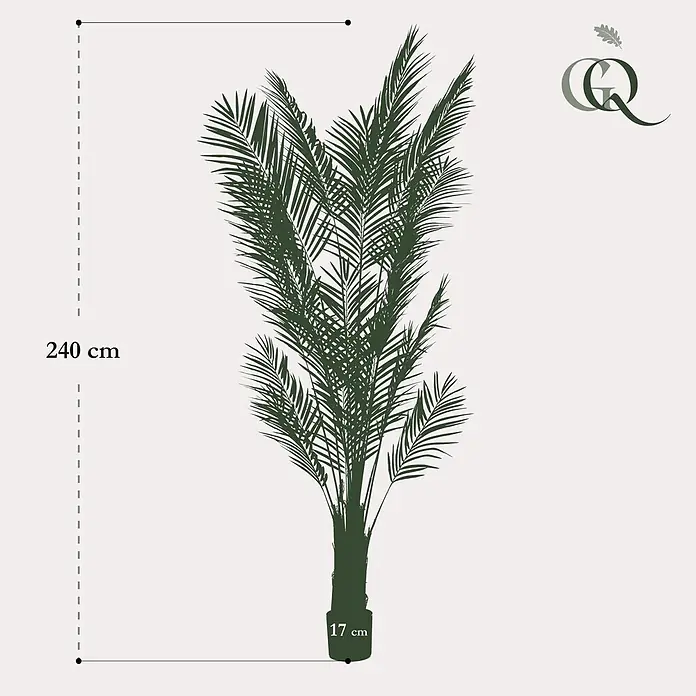 Florora Kunstpflanze Goldpalme - Höhe: 240 cm, Holz - Dunkelgrüne Palmenpflanze, 240 cm hoch, mit 17 cm Topfdurchmesser.