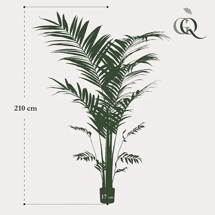 Florora Kunstpflanze Kentia-Palme - Höhe: 210 cm, Holz - Große, dunkelgrüne Kunstpalme, 210 cm hoch mit einem 17 cm Topf.