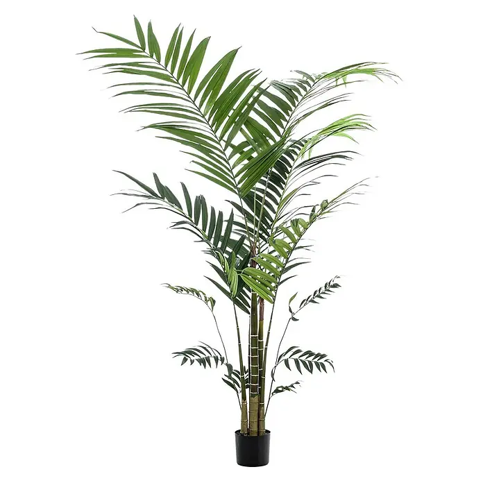 Florora Kunstpflanze Kentia-Palme - Höhe: 210 cm, Holz - Künstliche Palmenpflanze mit grünen Blättern und bambusartigen Stielen in einem schwarzen Topf.