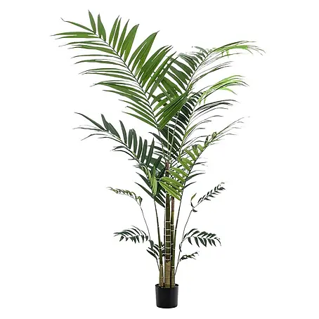 Florora  Kunstpflanze Kentia-Palme