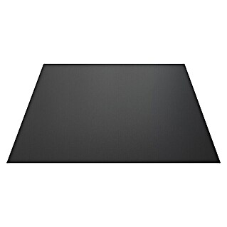 Lienbacher Funkenschutzblech (Metall, Schwarz, B x L: 55 x 100 cm, Rechteckig)