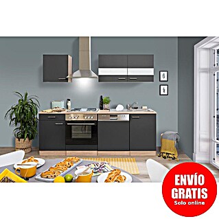 Respekta Cocina compacta Merle (Ancho: 220 cm, Gris, Horno, campana extractora, placa vitrocerámica y lavavajillas, Con electrodomésticos, Volumen horno: 60 l)