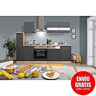 Respekta Cocina compacta Merle (Ancho: 250 cm, Gris, Horno, campana extractora, placa vitrocerámica y lavavajillas, Con electrodomésticos, Volumen horno: 60 l)