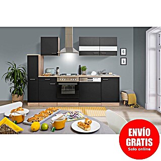 Respekta Cocina compacta Merle (Ancho: 250 cm, Negro, Horno, campana extractora, placa vitrocerámica y lavavajillas, Con electrodomésticos, Volumen horno: 60 l)