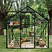 Kas Kate III Full Option pakket (Buitenmaat incl. dakoverstek (b x d): 192 x 314 cm, Materiaal zijwand: Glas, 3 mm, Zwart) | BAUHAUS