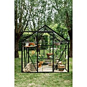 Kas Kate III Full Option pakket (Buitenmaat incl. dakoverstek (b x d): 192 x 314 cm, Materiaal zijwand: Glas, 3 mm, Zwart) | BAUHAUS
