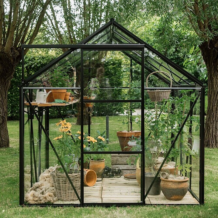 Kas Kate III Full Option pakket (Buitenmaat incl. dakoverstek (b x d): 192 x 314 cm, Materiaal zijwand: Glas, 3 mm, Zwart) | BAUHAUS
