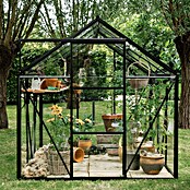 Kas Kate III Full Option pakket (Buitenmaat incl. dakoverstek (b x d): 192 x 314 cm, Materiaal zijwand: Glas, 3 mm, Zwart) | BAUHAUS