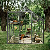 Kas Kate III Full Option pakket (Buitenmaat incl. dakoverstek (b x d): 192 x 314 cm, Materiaal zijwand: Glas, 3 mm, Groengrijs) | BAUHAUS