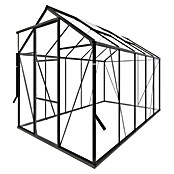 Kas Kate III Full Option pakket (Buitenmaat incl. dakoverstek (b x d): 192 x 314 cm, Materiaal zijwand: Glas, 3 mm, Groengrijs) | BAUHAUS