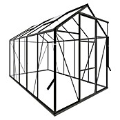 Kas Kate III Full Option pakket (Buitenmaat incl. dakoverstek (b x d): 192 x 314 cm, Materiaal zijwand: Glas, 3 mm, Groengrijs) | BAUHAUS