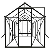 Kas Kate III Full Option pakket (Buitenmaat incl. dakoverstek (b x d): 192 x 314 cm, Materiaal zijwand: Glas, 3 mm, Groengrijs) | BAUHAUS