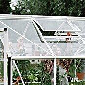 Kas Kate II Full Option pakket (Buitenmaat incl. dakoverstek (b x d): 192 x 253 cm, Materiaal zijwand: Glas, 3 mm, Wit) | BAUHAUS