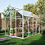 Kas Kate II Full Option pakket (Buitenmaat incl. dakoverstek (b x d): 192 x 253 cm, Materiaal zijwand: Glas, 3 mm, Wit) | BAUHAUS