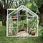Kas Kate II Full Option pakket (Buitenmaat incl. dakoverstek (b x d): 192 x 253 cm, Materiaal zijwand: Glas, 3 mm, Wit) | BAUHAUS