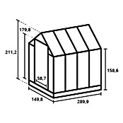Kas Anne III Full Option pakket (Buitenmaat incl. dakoverstek (b x d): 149,8 x 289,9 cm, Materiaal zijwand: Glas, 3 mm, Zwart) | BAUHAUS