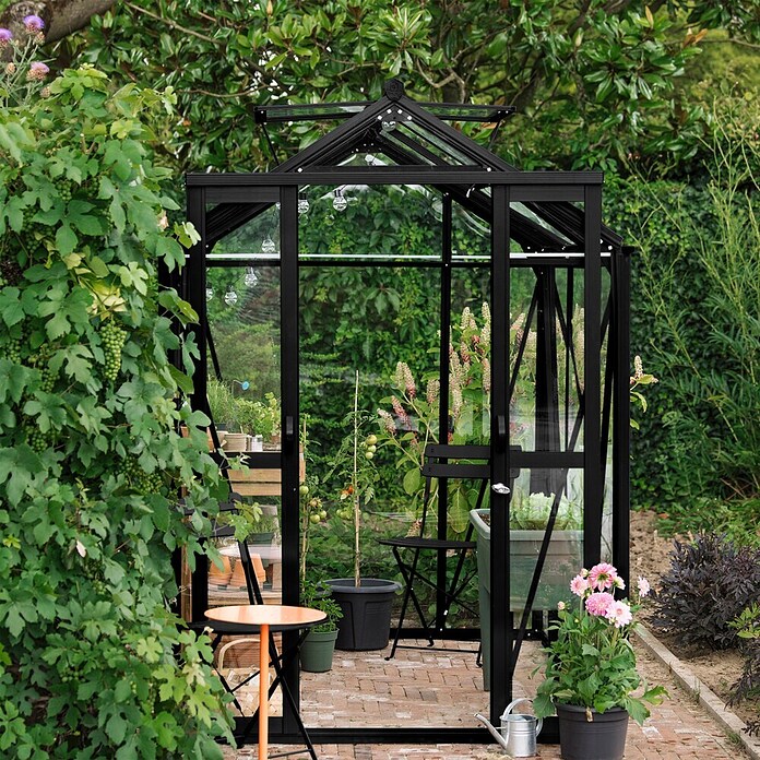 Kas Anne III Full Option pakket (Buitenmaat incl. dakoverstek (b x d): 149,8 x 289,9 cm, Materiaal zijwand: Glas, 3 mm, Zwart) | BAUHAUS