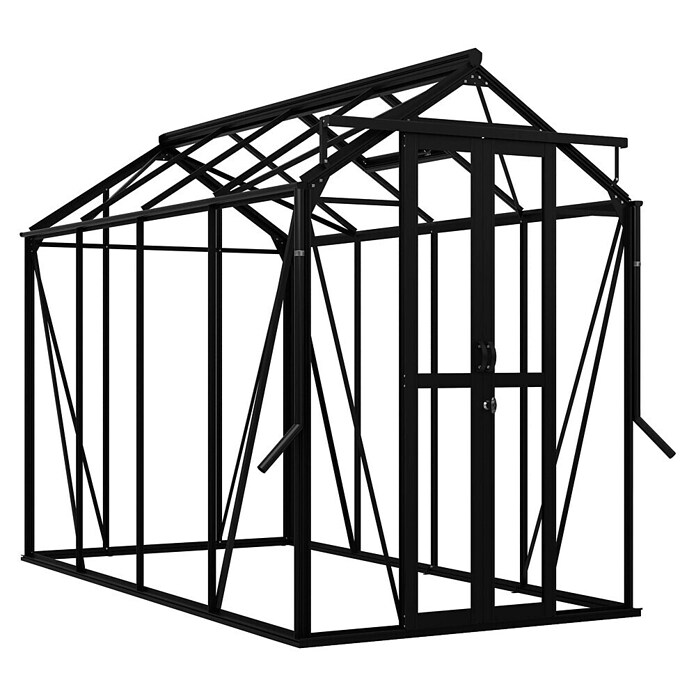 Kas Anne III Full Option pakket (Buitenmaat incl. dakoverstek (b x d): 149,8 x 289,9 cm, Materiaal zijwand: Glas, 3 mm, Zwart) | BAUHAUS