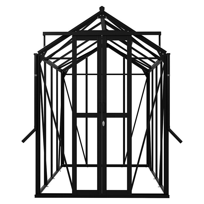 Kas Anne III Full Option pakket (Buitenmaat incl. dakoverstek (b x d): 149,8 x 289,9 cm, Materiaal zijwand: Glas, 3 mm, Zwart) | BAUHAUS