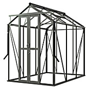 Kas Anne II Full Option pakket (Buitenmaat incl. dakoverstek (b x d): 149,8 x 220,1 cm, Materiaal zijwand: Glas, 3 mm, Groengrijs) | BAUHAUS