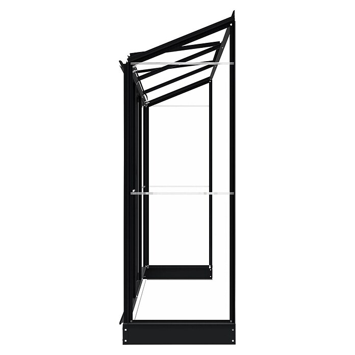 Kas Emma II (Buitenmaat incl. dakoverstek (b x d): 194 x 69 cm, Materiaal zijwand: Glas, 3 mm, Zwart) | BAUHAUS