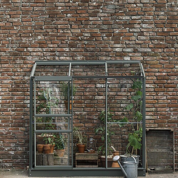 Kas Emma II (Buitenmaat incl. dakoverstek (b x d): 194 x 69 cm, Materiaal zijwand: Glas, 3 mm, Groengrijs) | BAUHAUS