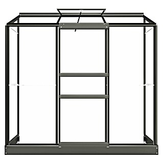 Kas Emma II (Buitenmaat incl. dakoverstek (b x d): 194 x 69 cm, Materiaal zijwand: Glas, 3 mm, Groengrijs)