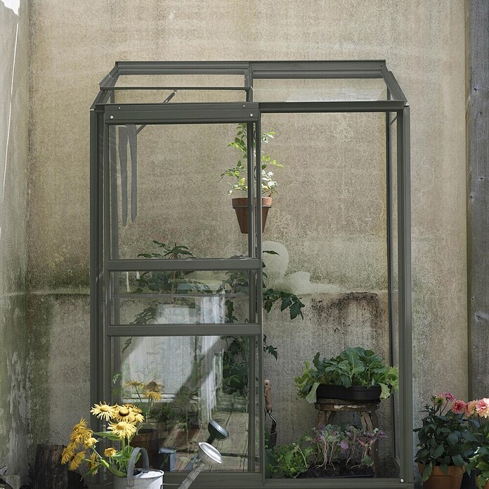 Kas Emma I (Buitenmaat incl. dakoverstek (b x d): 132 x 69 cm, Materiaal zijwand: Glas, 3 mm, Groengrijs) | BAUHAUS
