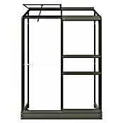 Kas Emma I (Buitenmaat incl. dakoverstek (b x d): 132 x 69 cm, Materiaal zijwand: Glas, 3 mm, Groengrijs) | BAUHAUS