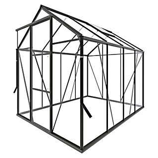 Kas Kate II Full Option pakket (Buitenmaat incl. dakoverstek (b x d): 192 x 253 cm, Materiaal zijwand: Glas, 3 mm, Groengrijs)