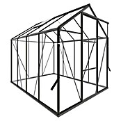 Kas Kate II Full Option pakket (Buitenmaat incl. dakoverstek (b x d): 192 x 253 cm, Materiaal zijwand: Glas, 3 mm, Groengrijs) | BAUHAUS