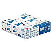 Purline Ventilador de techo Ceily Brise (Blanco, 107 cm, 28 W) | BAUHAUS