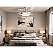 Purline Ventilador de techo Ceily Brise (Blanco/Madera clara, 107 cm, 28 W) | BAUHAUS