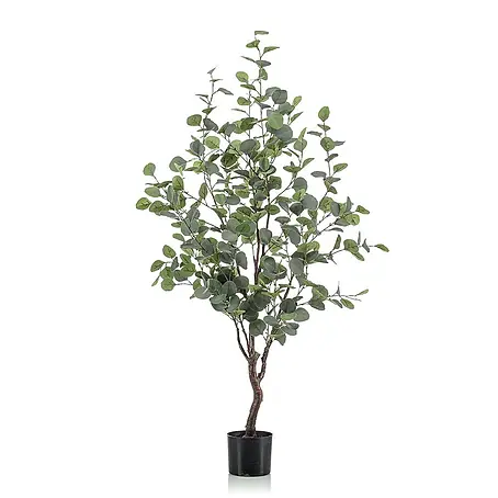 Florora  Kunstpflanze Blauer Gummibaum