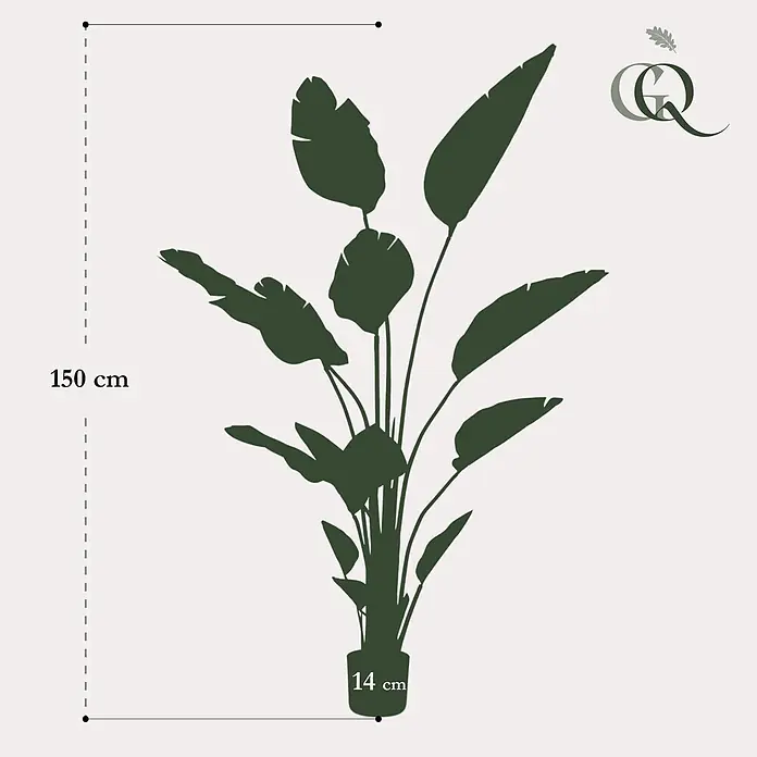 Florora Kunstpflanze Paradiesvogelblume - Höhe: 150 cm, Holz - Dunkelgrüne Pflanzensilhouette, 150 cm hoch, mit 14 cm breitem Topf.