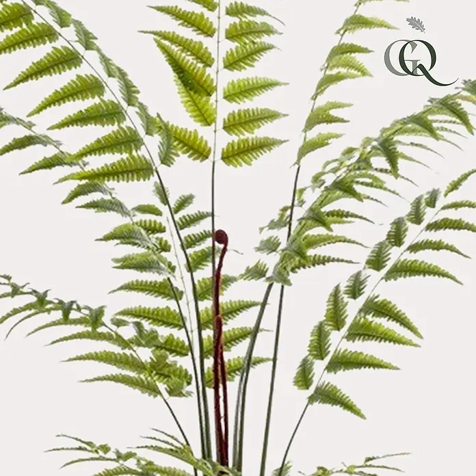 Florora Kunstpflanze Lederfarn - Höhe: 180 cm, Holz - Eine üppige grüne Farnpflanze mit zarten Wedeln und einem markanten roten, sich entrollenden Farnwedel.