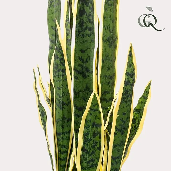 Florora Kunstpflanze Frauenzunge - Höhe: 97 cm, Holz - Hohe, panaschierte Sansevieria mit dunkelgrün marmorierten Blättern und leuchtend gelben Rändern.