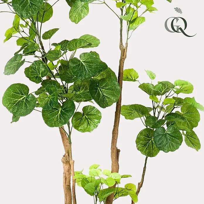 Florora Kunstpflanze Aralie - Höhe: 135 cm, Holz - Kunstpflanze mit üppigem grünem Laub und braunen Stielen.