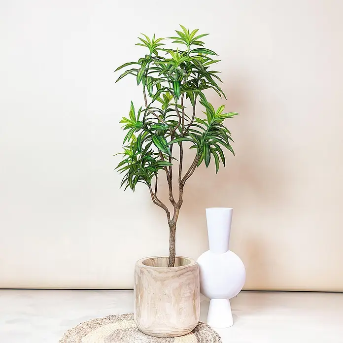 Florora Kunstpflanze Drachenbaum - Höhe: 155 cm, Holz - Große Kunstpflanze mit grünen Blättern im Holztopf, daneben eine weiße kugelförmige Vase.