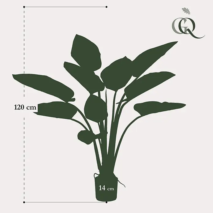 Florora Kunstpflanze Philodendron - Höhe: 120 cm, Holz - Dunkelgrüne Pflanzensilhouette mit 120 cm Gesamthöhe und 14 cm Topfbreite.