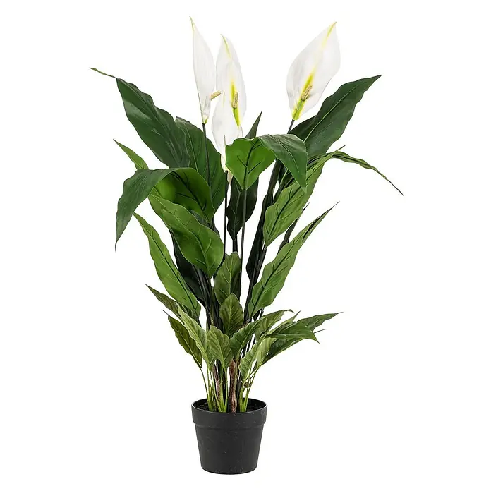 Florora Kunstpflanze Einblatt - Höhe: 90 cm, Blütenfarbe: Weiß, Holz - Künstliche Spathiphyllum-Pflanze mit weißen Blüten und grünen Blättern in einem schwarzen Topf.