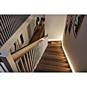 Paulmann Treppenstufen-Beleuchtung (Lichtfarbe: Warmweiß, Dimmbarkeit: Nicht Dimmbar) | BAUHAUS