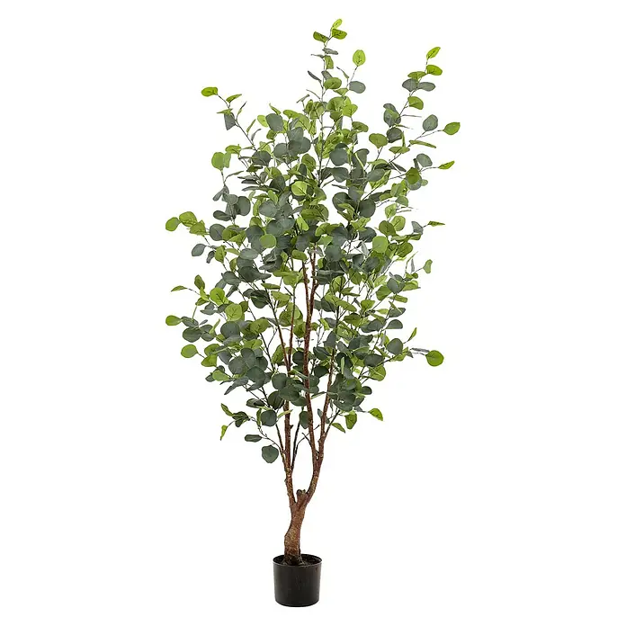 Florora Kunstpflanze Blauer Gummibaum - Höhe: 140 cm, Holz - Künstliche Eukalyptuspflanze mit grünen Blättern und braunen Stielen, in einem schwarzen Topf.