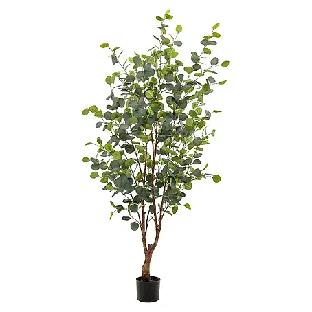Florora  Kunstpflanze Blauer Gummibaum