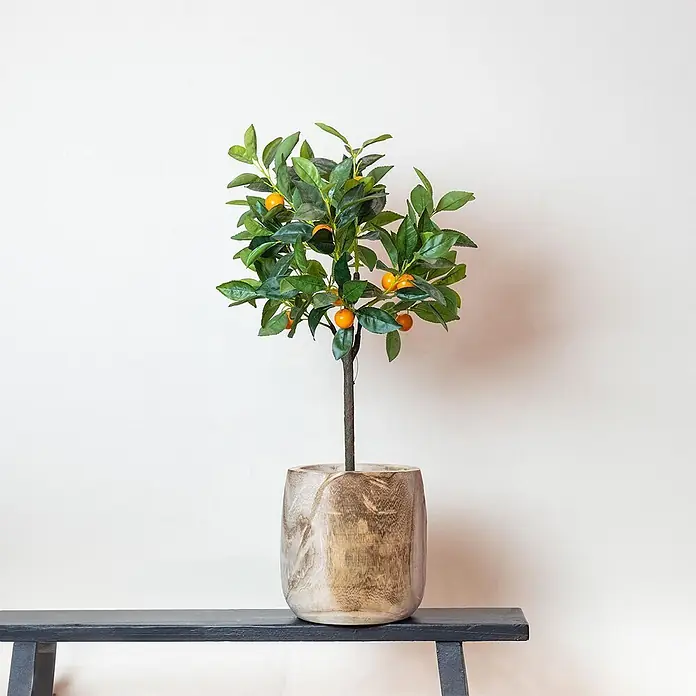 Florora Kunstpflanze Orangenbaum - Höhe: 75 cm, Blütenfarbe: Weiß, Holz - Kleiner künstlicher Orangenbaum mit grünen Blättern und orangen Früchten in einem runden, hellen Holztopf auf einer dunklen Bank.