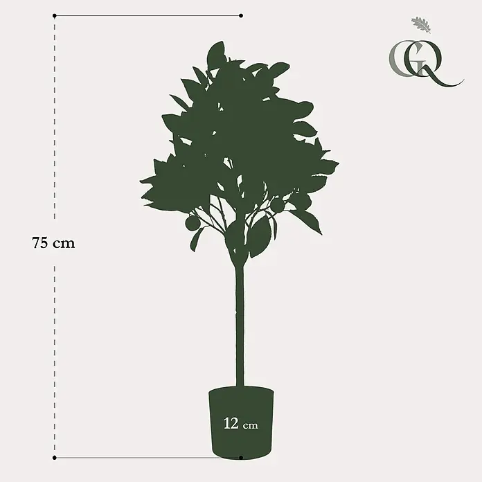 Florora Kunstpflanze Orangenbaum - Höhe: 75 cm, Blütenfarbe: Weiß, Holz - Dunkelgrüne Silhouette einer Topf-Zitruspflanze, insgesamt 75 cm hoch, mit 12 cm Topf.