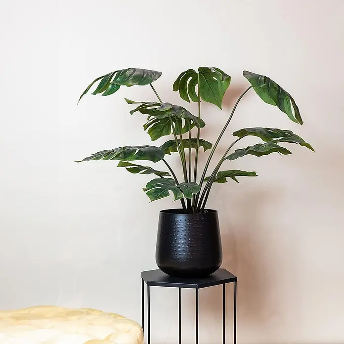 Florora Kunstpflanze Löcherpflanze - Höhe: 95 cm, Holz - Große künstliche Monstera-Pflanze in einem strukturierten schwarzen Pflanzgefäß auf einem eleganten schwarzen sechseckigen Beistelltisch.