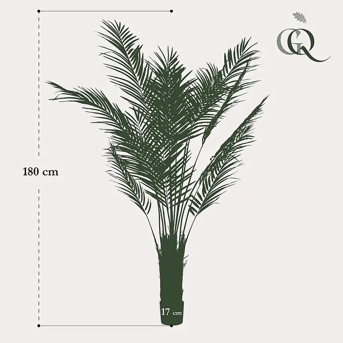 Florora Kunstpflanze Goldpalme - Höhe: 180 cm, Holz - Dunkelgrüne Silhouette einer Palme, 180 cm hoch, mit 17 cm breiter Basis.
