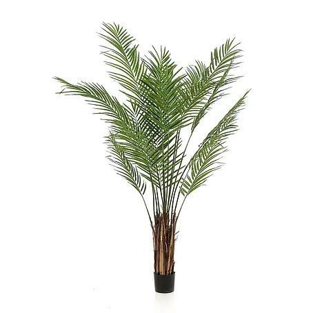 Florora  Kunstpflanze Goldpalme