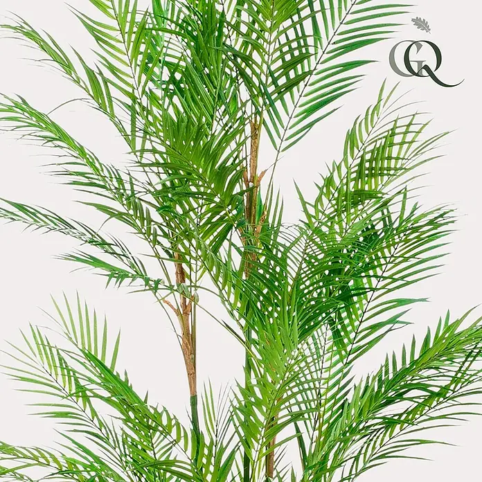 Florora Kunstpflanze Bergpalme - Höhe: 180 cm, Holz - Üppige grüne Kunstpalme mit vielen Wedeln und braunen Stielen, ideal für die Inneneinrichtung.